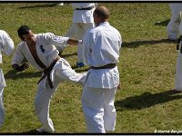 2011 06 26 4190-border